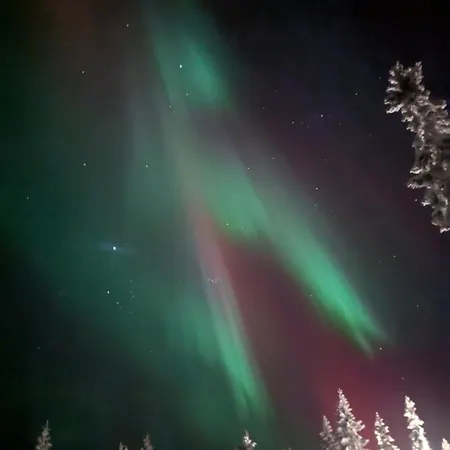 Pikkuhukka * Syöte
